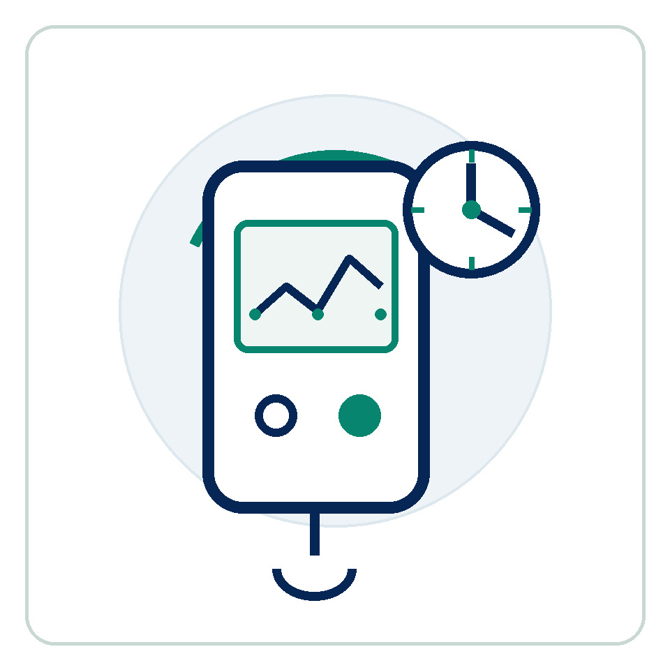 Portable field instrument application icon