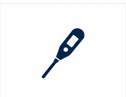Thermometer icon